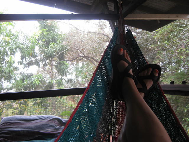 Savanna Guest House