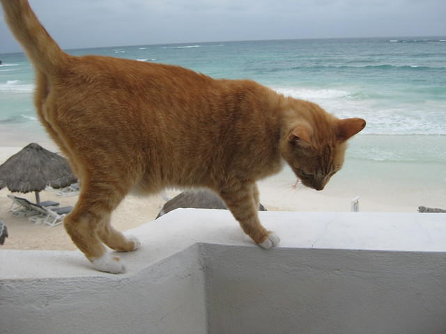 IMG 1914