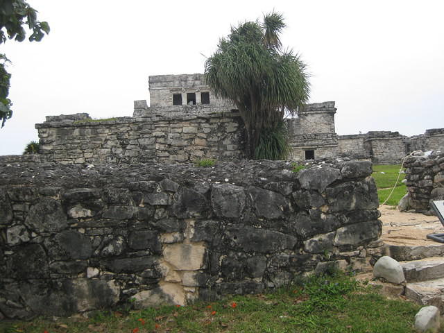 IMG 1924