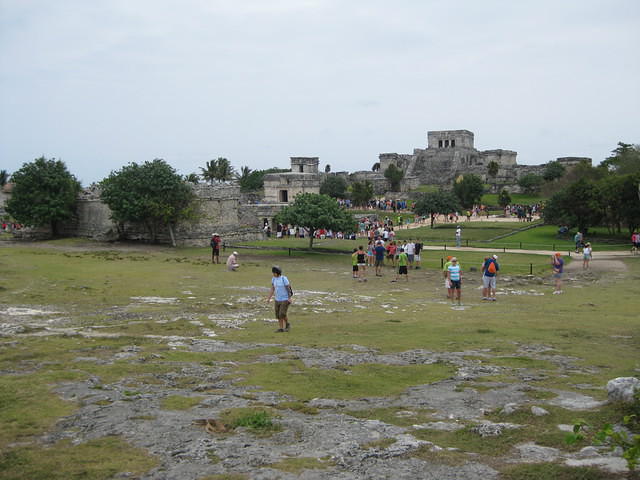 IMG 1937