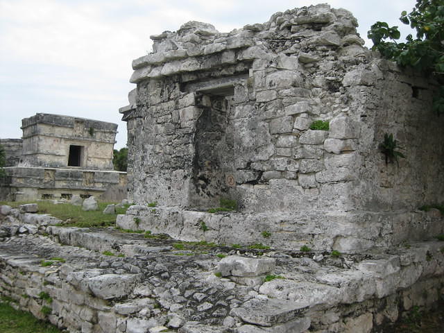 IMG 1942