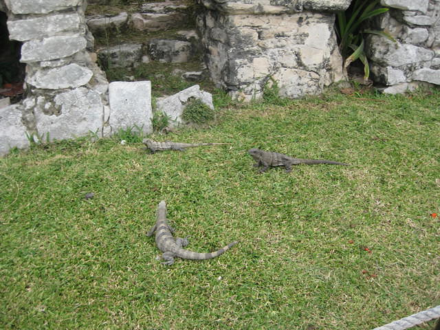 Tulum