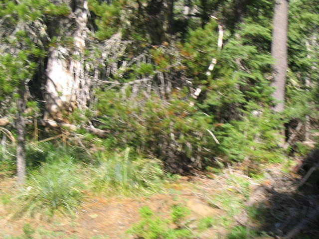 00000075_G