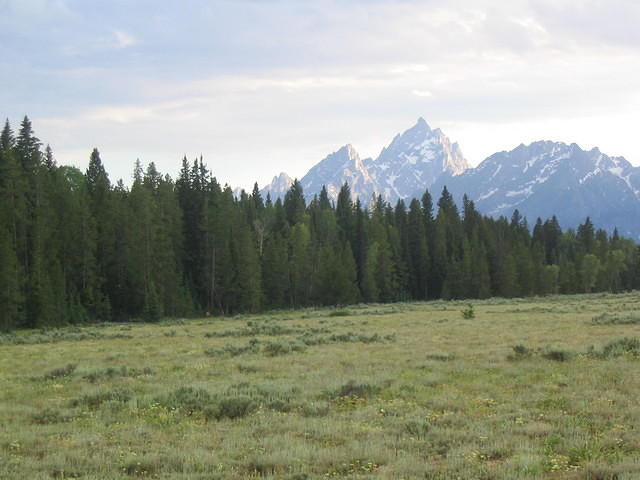 STA_1560
