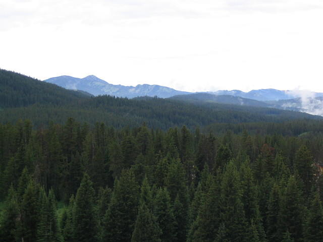 STA_1590