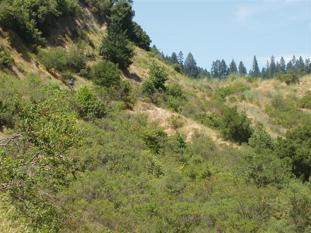 P6150023_Large