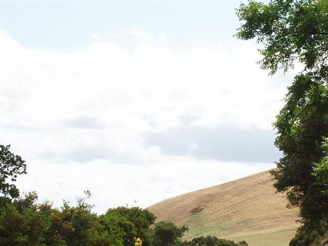 P6170070_Large