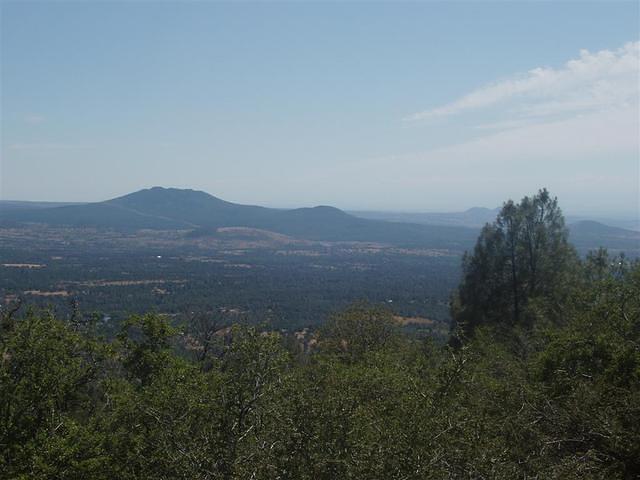 P6200015_Large
