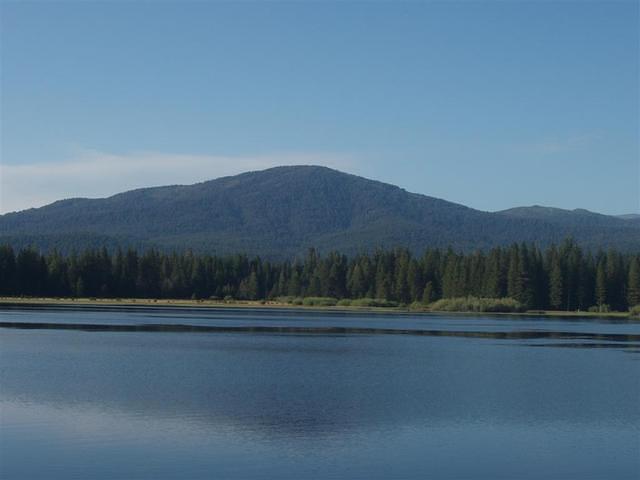 P6200022_Large