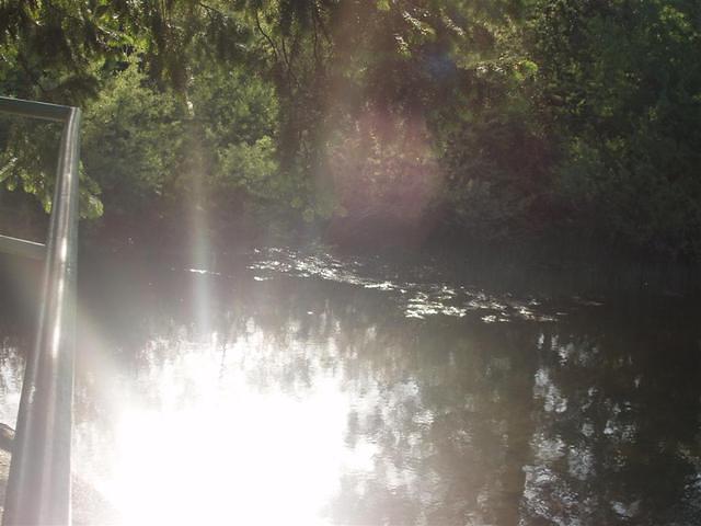 P6200023_Large