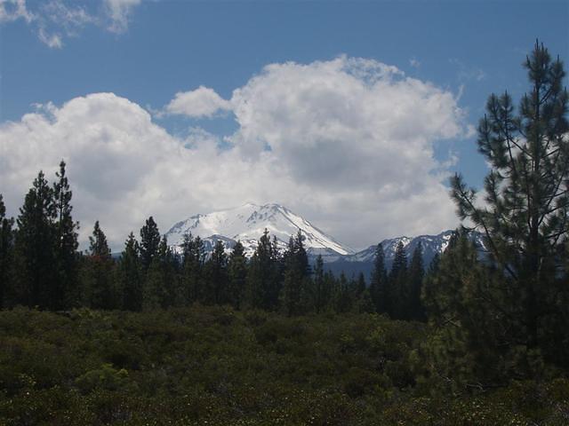 P6210025_Large