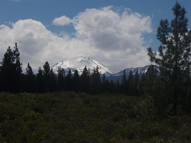 P6210026_Large