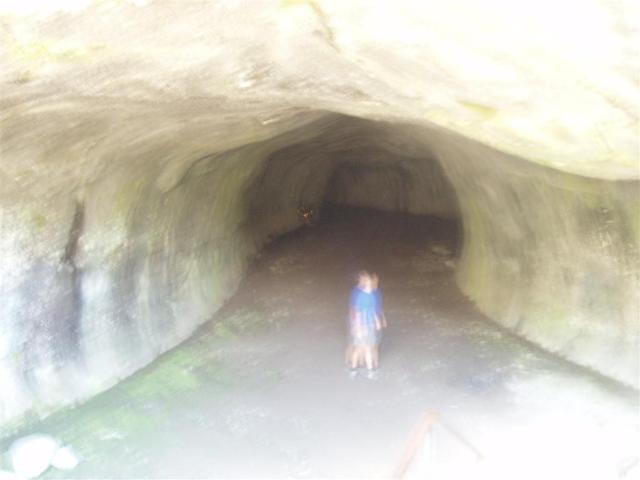 P6210027_Large