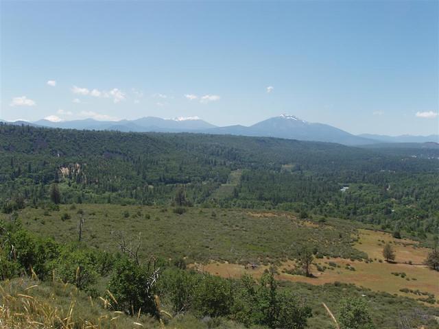 P6220050_Large