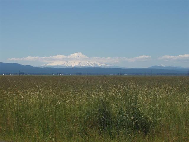 P6220058_Large