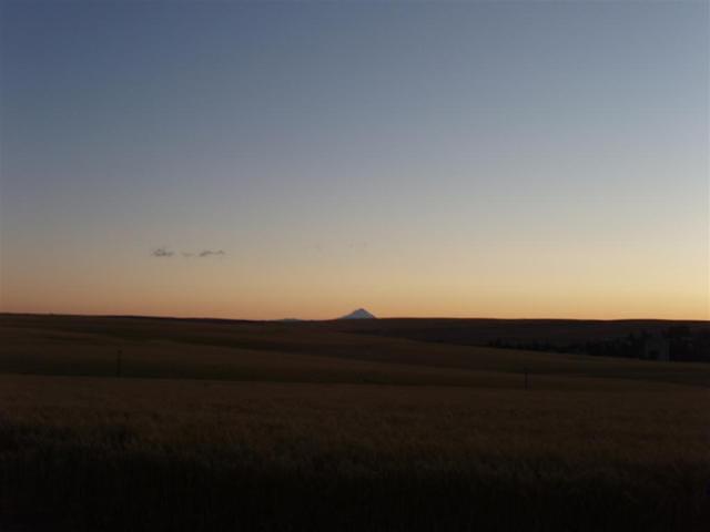 P6280110_Large
