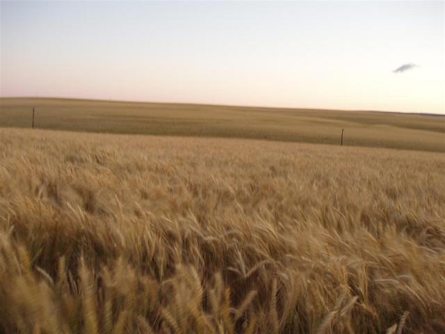 P6280116_Large