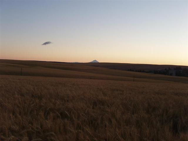 P6280117_Large