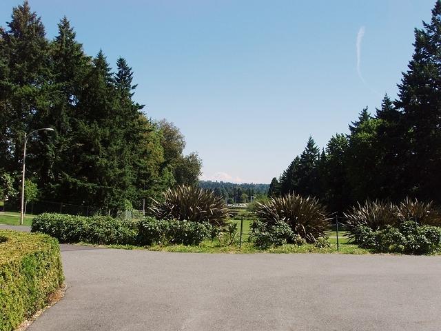 P7030010