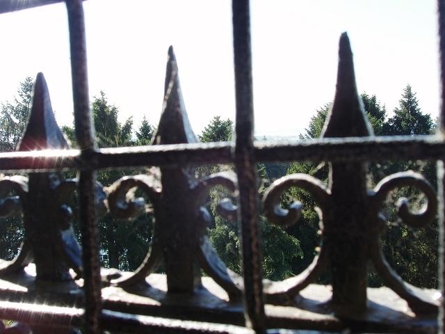 P7030013