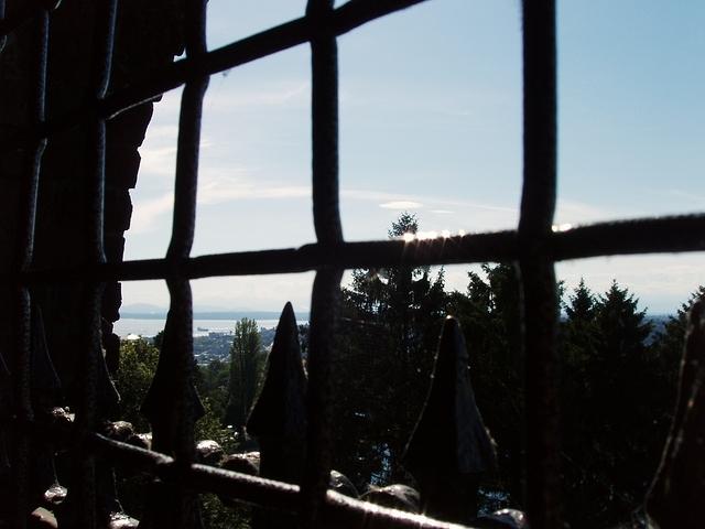 P7030015