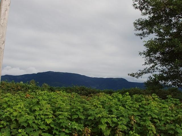 P7060036