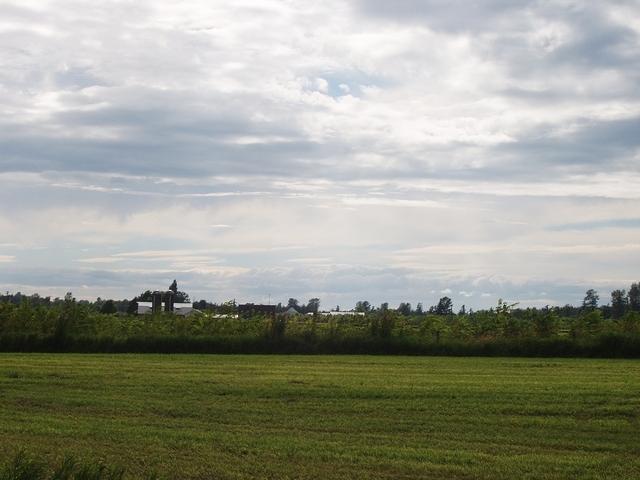 P7060038