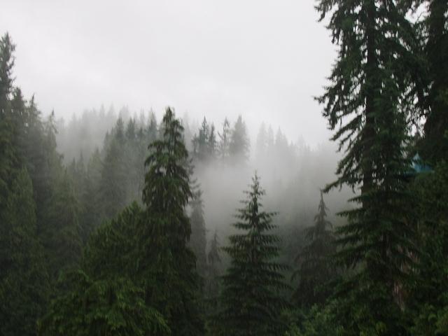 P7080052