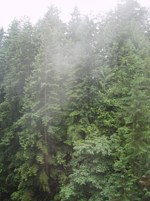 P7080056