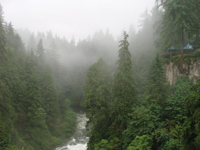 P7080058