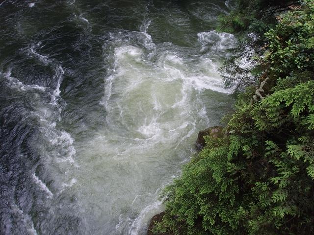 P7080069