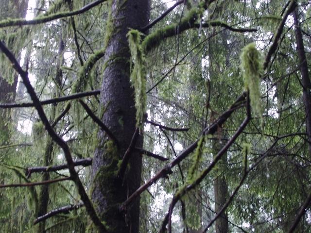 P7080075