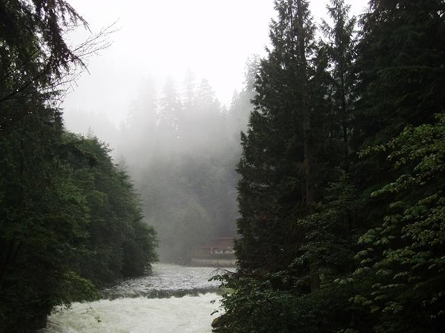 P7080077