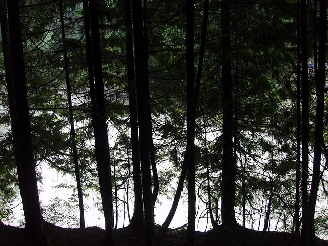 P7080081
