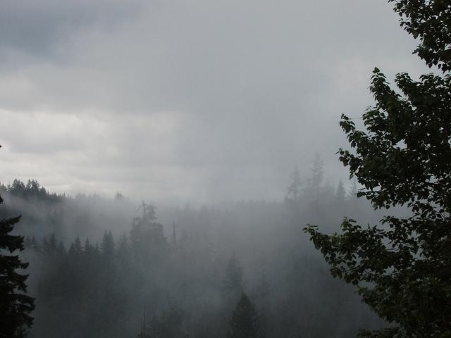 P7080083