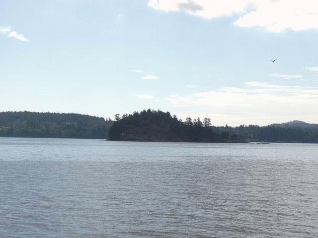 P7100105