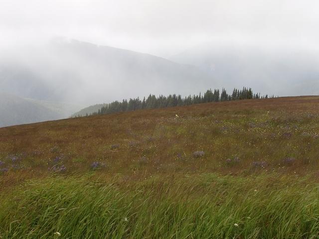 P7110114