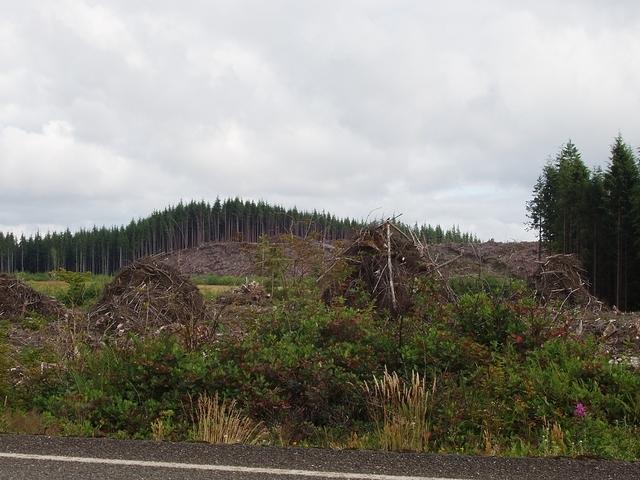 P7120123