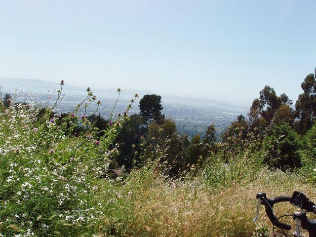 ohills4
