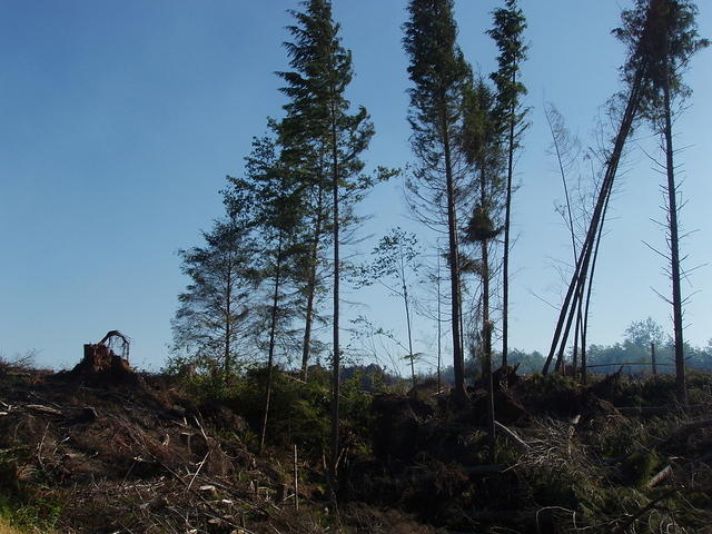 p7140130