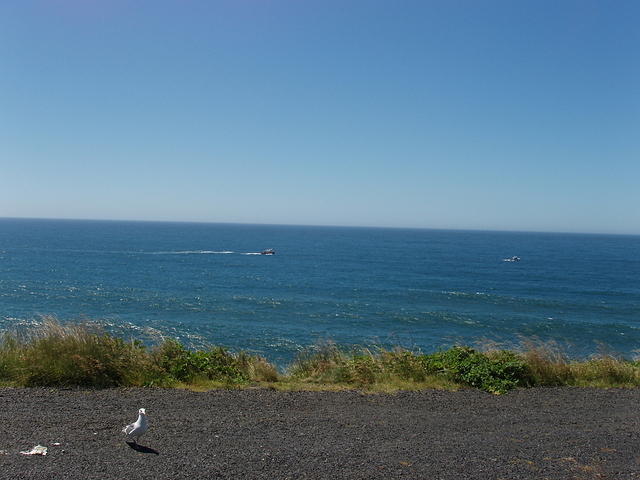 p7170145