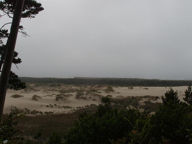 p7180168