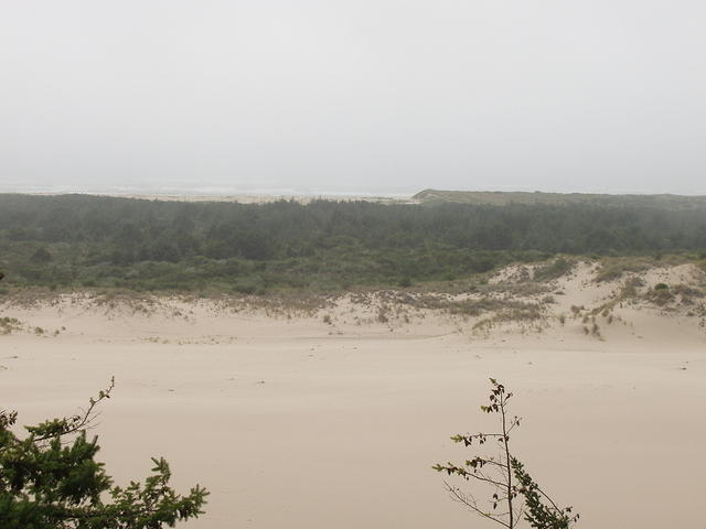 p7180169