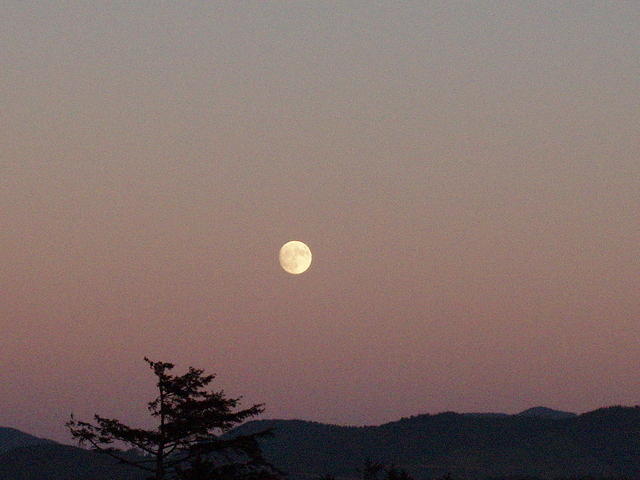 p7190175
