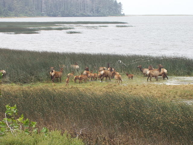 p7220208