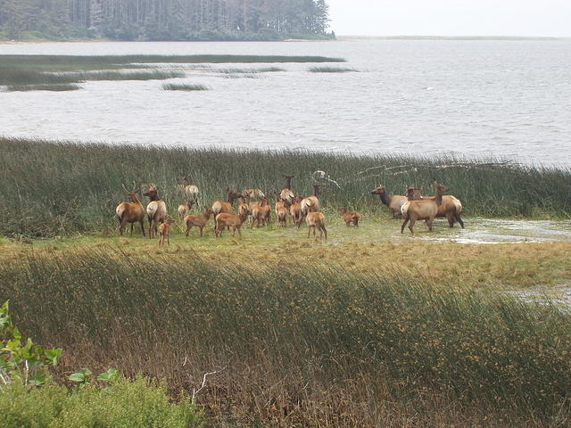 p7220209