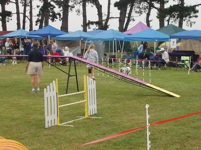 p7230218