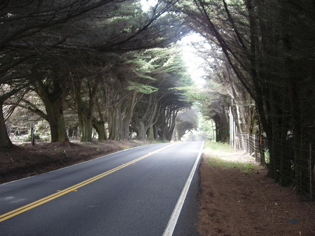 p7250241