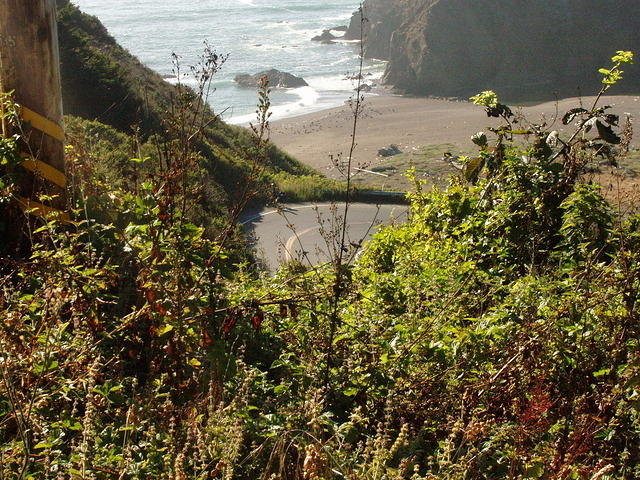 p7250255