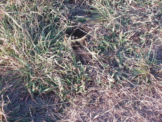 p7250258